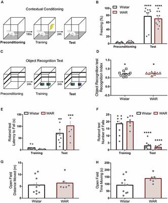 Seizure Susceptibility Corrupts Inferior Colliculus Acoustic Integration